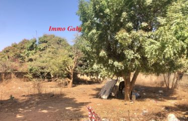 NGAPAROU : Terrain de 550 m² à vendre