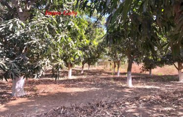 NGUEKHOKH : Terrain à vendre 8816 m²