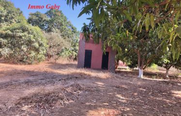 NGUEKHOKH : Terrain à vendre 8816 m²