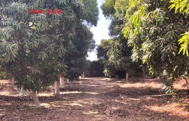 NGUEKHOKH : Terrain à vendre 8816 m²