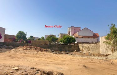 NGAPAROU : Terrain à vendre proche route principale