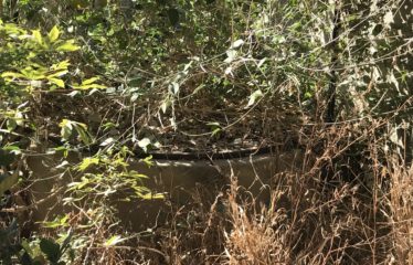 SOMONE : Terrain de 300 m2 à vendre clôturé et viabilisé