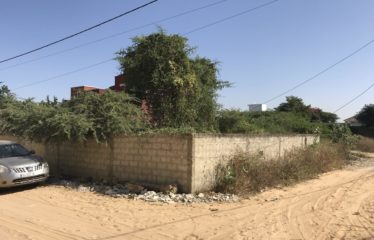 SOMONE : Terrain de 300 m2 à vendre clôturé et viabilisé