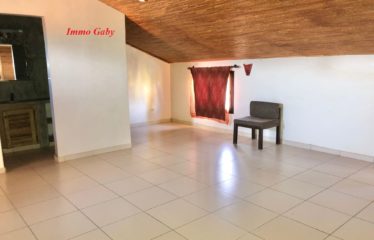 SALY : Magnifique villa à vendre dans domaine sécurisé