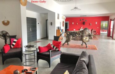 NGUERIGNE : Villa contemporaine meublée à vendre
