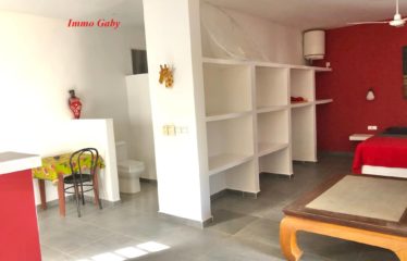 NGUERIGNE : Villa contemporaine meublée à vendre