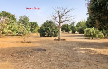 NGUERIGNE : Villa contemporaine meublée à vendre