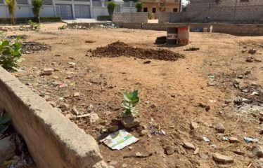 SALY : Terrain à vendre de 300 m2 proche commodités