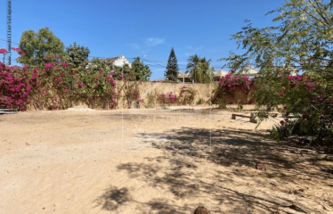 SALY : Magnifique terrain de 581m2 en 2eme ligne mer à vendre