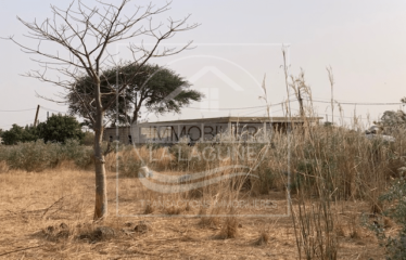 NGUERIGNE : Terrain de 3600m2 à vendre dans un quartier résidentiel