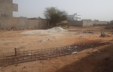 SALY : Terrain de 300 m2 en titre foncier à vendre