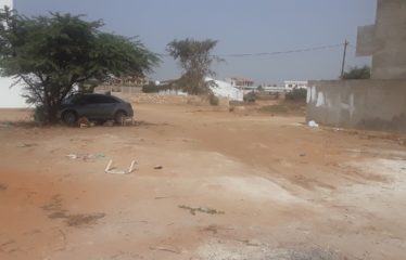 SALY : Terrain de 300 m2 en titre foncier à vendre