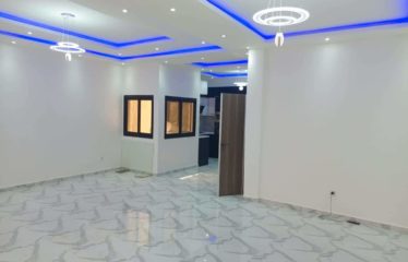 DAKAR ALMADIES : Appartement F4 dans un immeuble à vendre