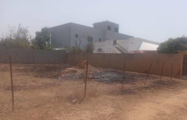 NGUERIGNE : Terrain à vendre 600 m² proche commodités