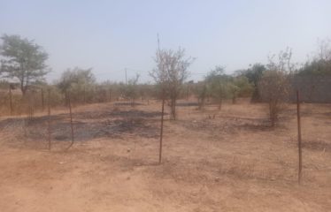 NGUERIGNE : Terrain à vendre 600 m² proche commodités