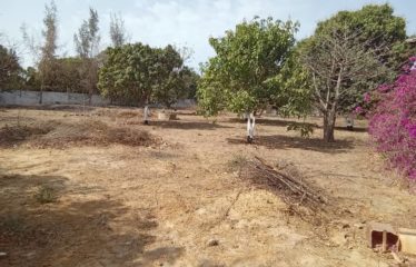 WARANG : Terrain constructible à vendre de 2 282 m2