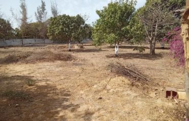 WARANG : Terrain constructible à vendre de 2 282 m2