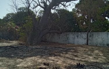 WARANG : Terrain constructible à vendre de 2 282 m2