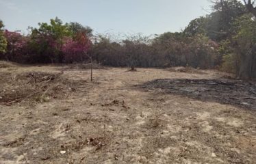 WARANG : Terrain constructible à vendre de 2 282 m2