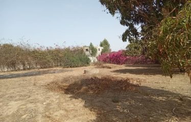 WARANG : Terrain constructible à vendre de 2 282 m2