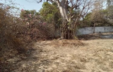 WARANG : Terrain constructible à vendre de 2 282 m2