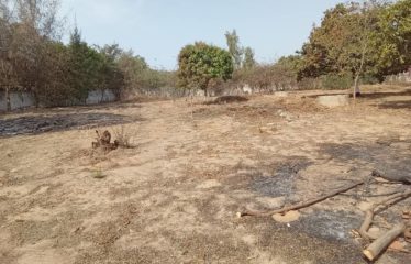 WARANG : Terrain constructible à vendre de 2 282 m2