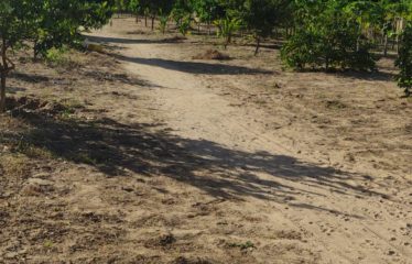 NGUEKHOKH : Terrain de 19 678 m2 à vendre Keur Gondé