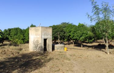 NGUEKHOKH : Terrain de 19 678 m2 à vendre Keur Gondé