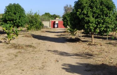NGUEKHOKH : Terrain de 19 678 m2 à vendre Keur Gondé