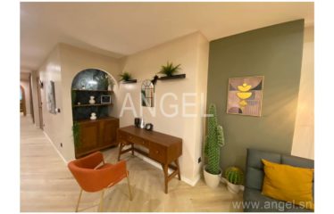 DAKAR CITÉ KEUR GORGUI : Magnifiques appartements F4 à vendre