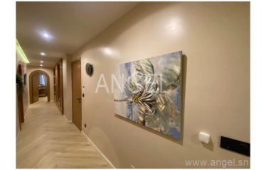 DAKAR CITÉ KEUR GORGUI : Magnifiques appartements F4 à vendre