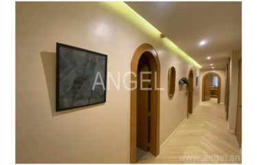 DAKAR CITÉ KEUR GORGUI : Magnifiques appartements F4 à vendre