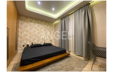 DAKAR CITÉ KEUR GORGUI : Magnifiques appartements F4 à vendre