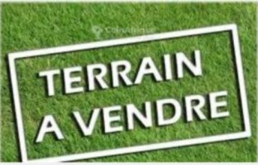 DAKAR KEUR MOUSSA : Terrains à vendre proche Diamniadio