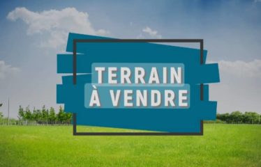 NGAPAROU : Terrain à Vendre coté plage