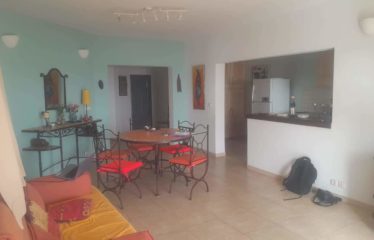 SALY : Très bel appartement à vendre T2 en bord de plage