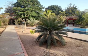 NGUERIGNE : Exceptionnelle propriété composée de 3 villas à vendre