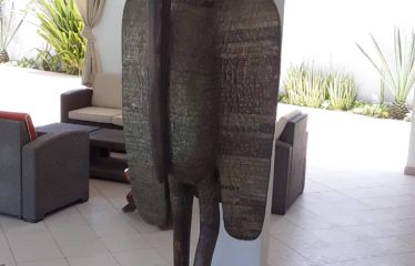 NGAPAROU : Villa à vendre 4 chambres proche bord de mer