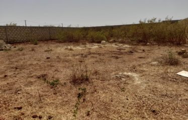 NGUERIGNE : Terrain de 600 m2 proche parc exotique à vendre