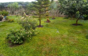 MALICOUNDA : Villa contemporaine 3 chambres avec son jardin luxuriant à vendre