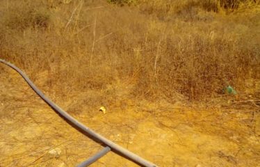 NGAPAROU : Terrain de 2h5 constructible à vendre