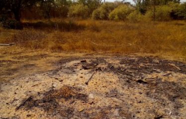 NGAPAROU : Terrain de 2h5 constructible à vendre