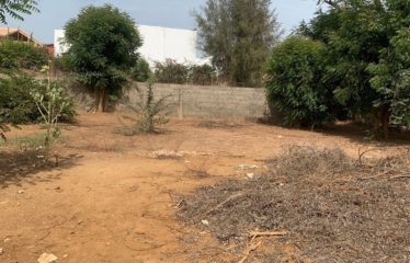 SOMONE : Terrain constructible de 576 m2 proche goudron à vendre