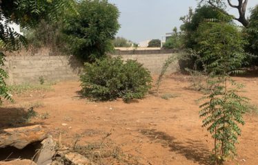 SOMONE : Terrain constructible de 576 m2 proche goudron à vendre