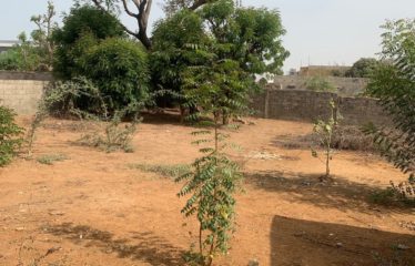 SOMONE : Terrain constructible de 576 m2 proche goudron à vendre