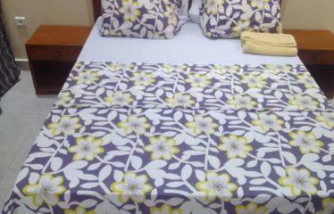 DAKAR NGOR : Très bel appartement meublé à louer