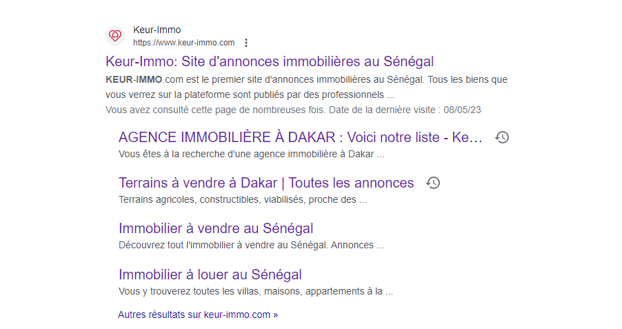 Balises H1 et méta description pour un référencement naturel optimal d'une agence immobilière