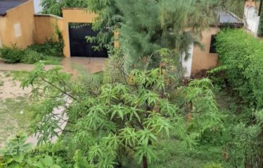 NIANING : Villa 6 chambres à vendre de 300 m2 avec rapport locatif éventuel