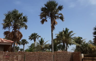 SALY : Villa afro contemporaine 3 chambres avec piscine à vendre