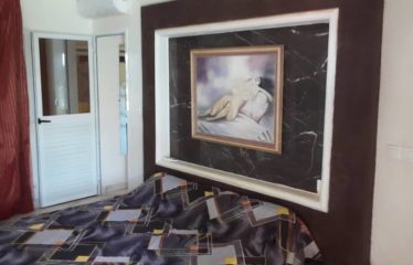 SOMONE : Propriété de standing au fort potentiel à vendre